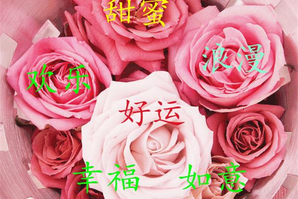 祝福你我的朋友