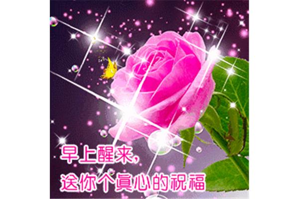 祝福你我的朋友