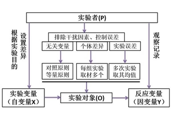 实验设计怎么写