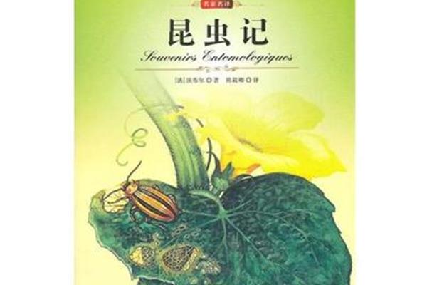 昆虫记的主要内容