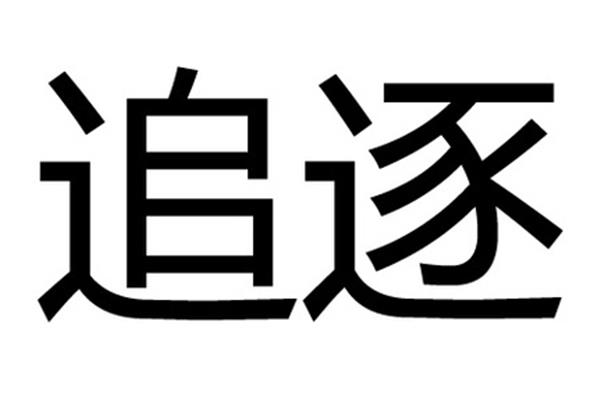 追逐的近义词