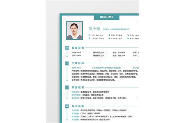 专业工作经历