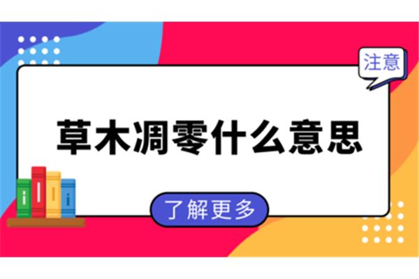 绽放近义词