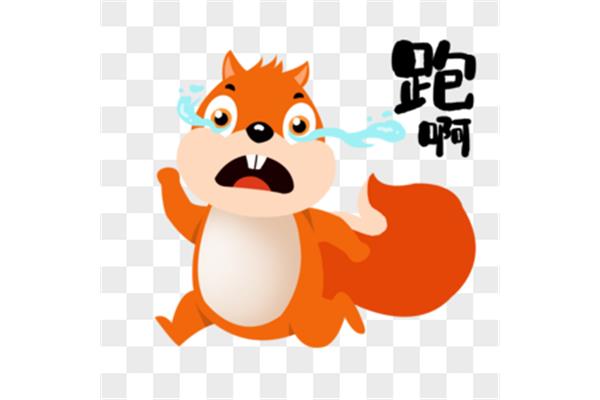松鼠的英语