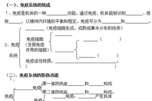 免疫调节教案