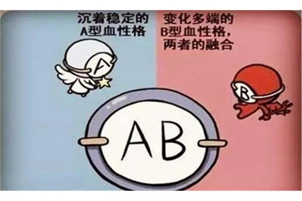 a型血和b型血