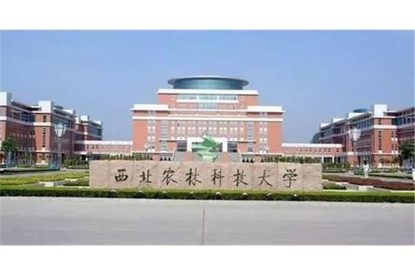 中国林业科学院