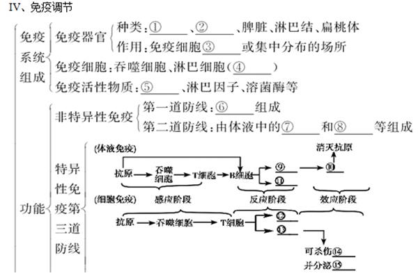 免疫调节教案