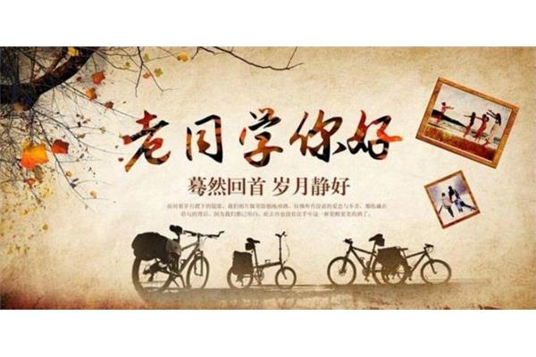 我的老同学