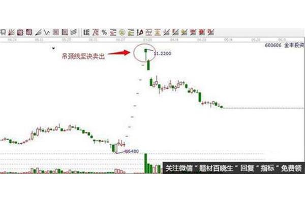 罗网是什么意思