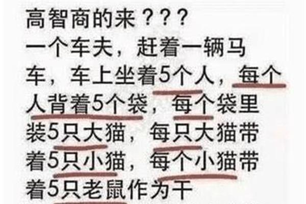 一共有多少条腿
