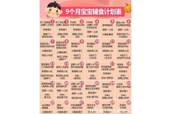 九个月的婴儿食谱