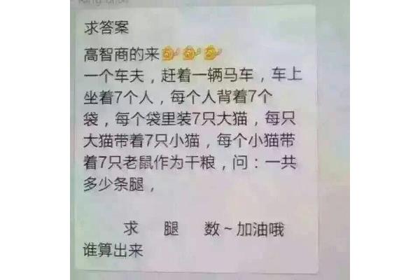 一共有多少条腿