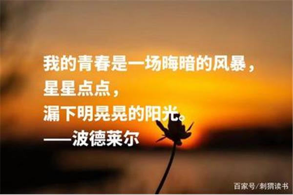 青春的格言