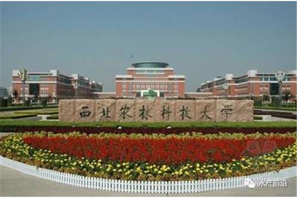 中国林业科学院