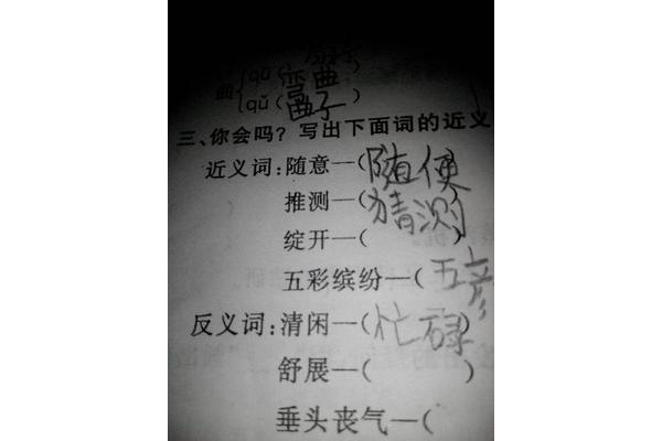 绽放近义词