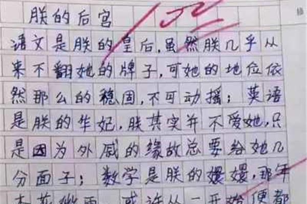 小学作文300字