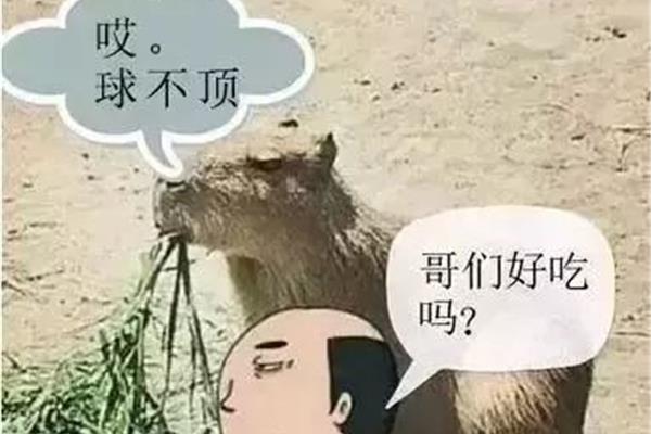 挑三拣四的意思