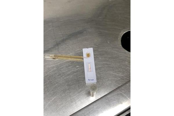 优秀人物事迹