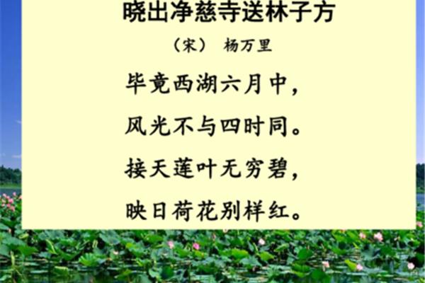 晓出净慈寺送