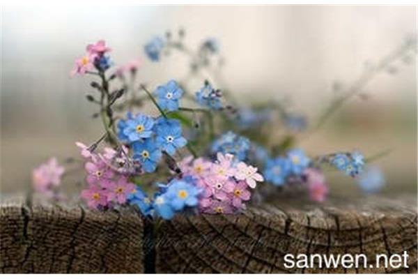花开的句子唯美