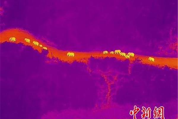 亚洲热天堂