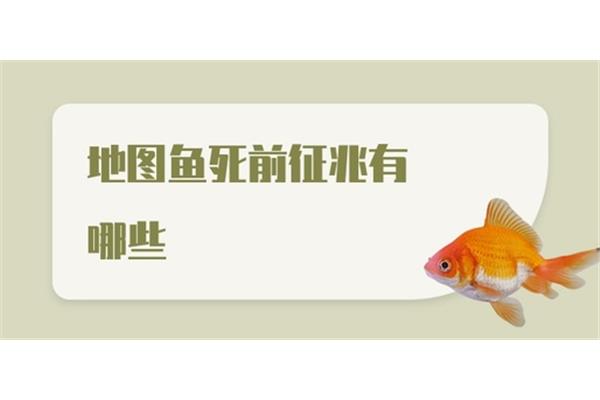 地图鱼死前征兆