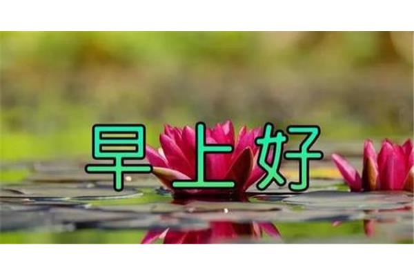 简单快乐的短句