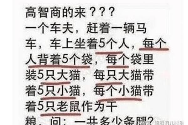 一共有多少条腿