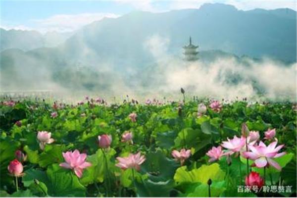 晓出净慈寺送