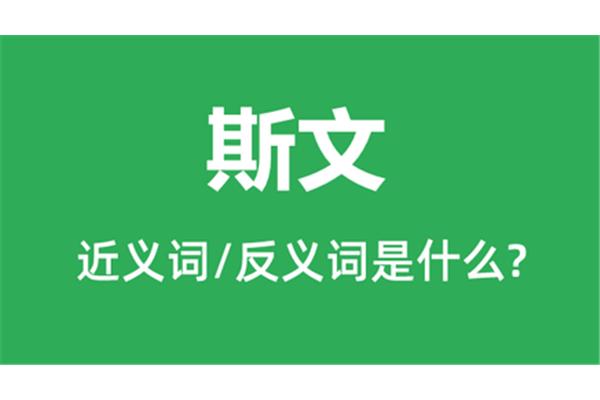 斯文的反义词