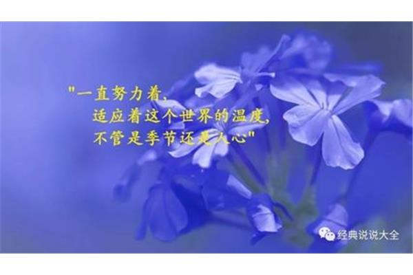 简单快乐的短句