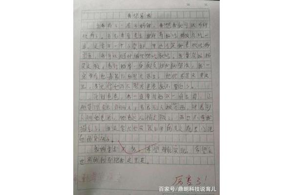 小学作文300字