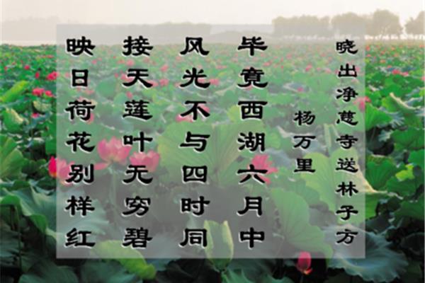 晓出净慈寺送
