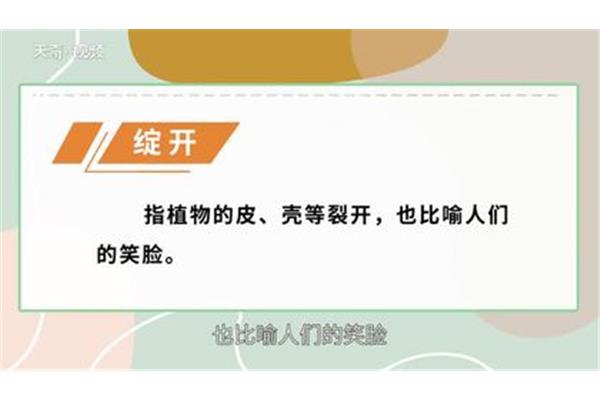 绽放近义词