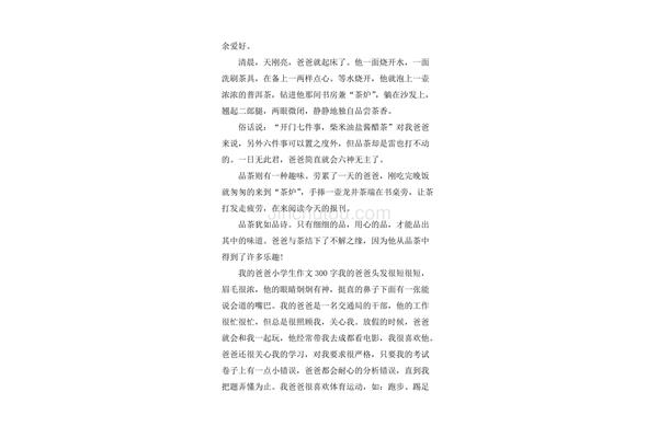 小学作文300字