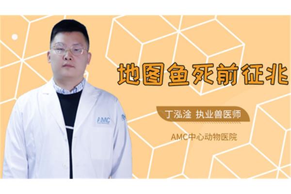 地图鱼死前征兆