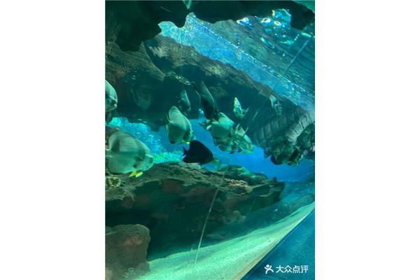 北京海洋馆地址