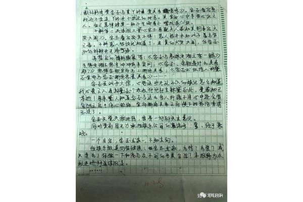 什么的童年作文