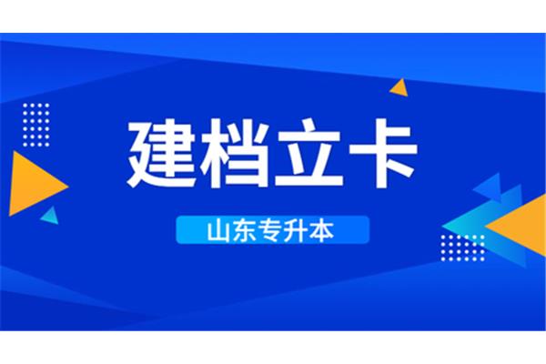 山东专升本机构
