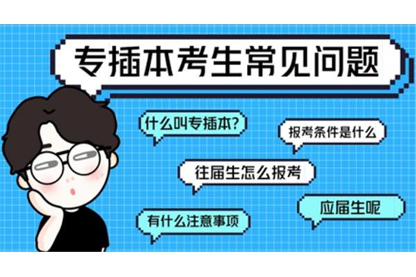 什么叫应届生