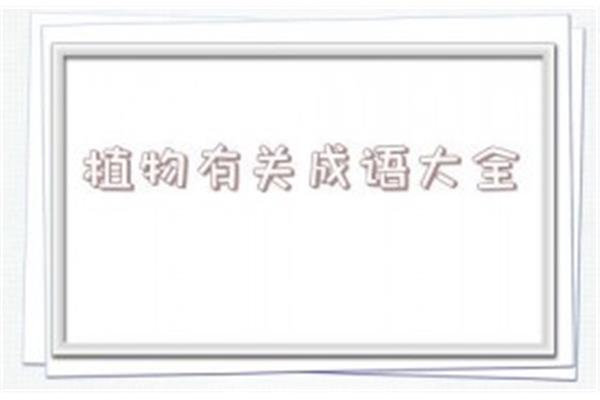 有关植物的成语
