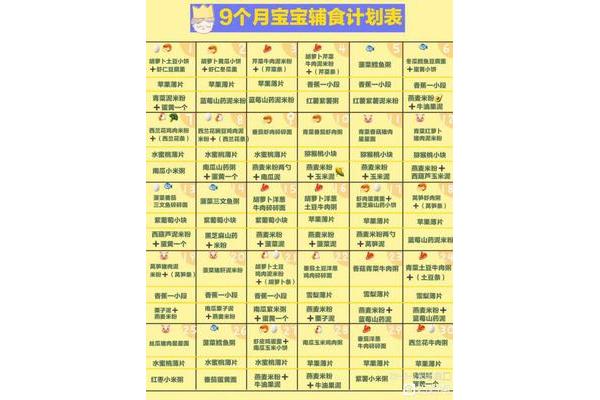 九个月的婴儿食谱