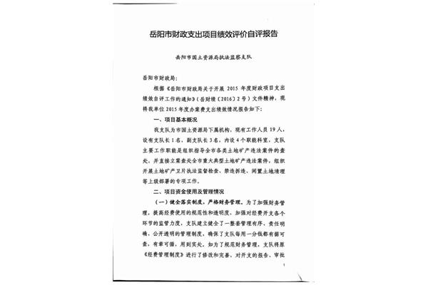 绩效自评报告范文