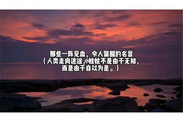 人生格言励志简短