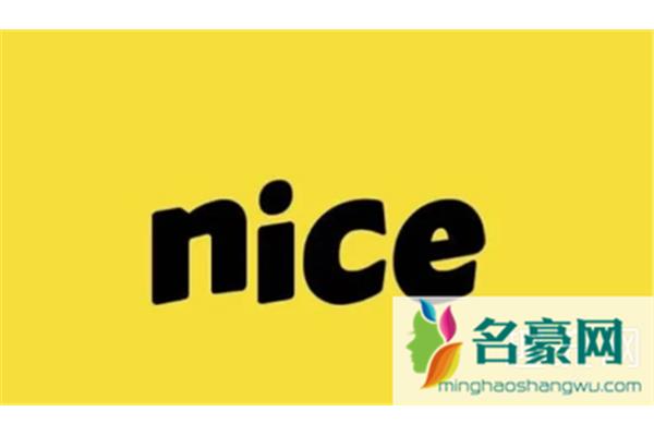 nice什么意思