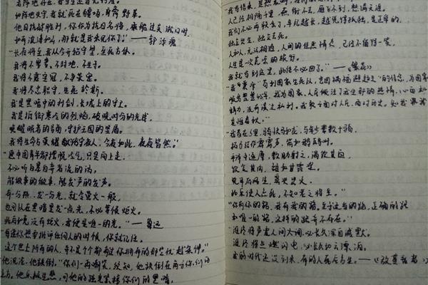 经典文学佳句摘抄