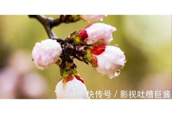 描写春天的名言