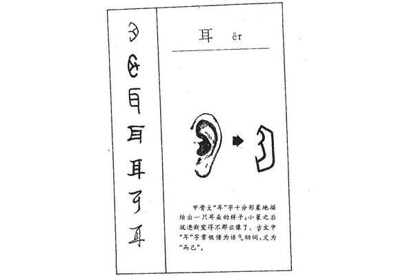 耳怎么组词