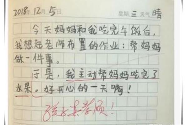 二年级日记格式